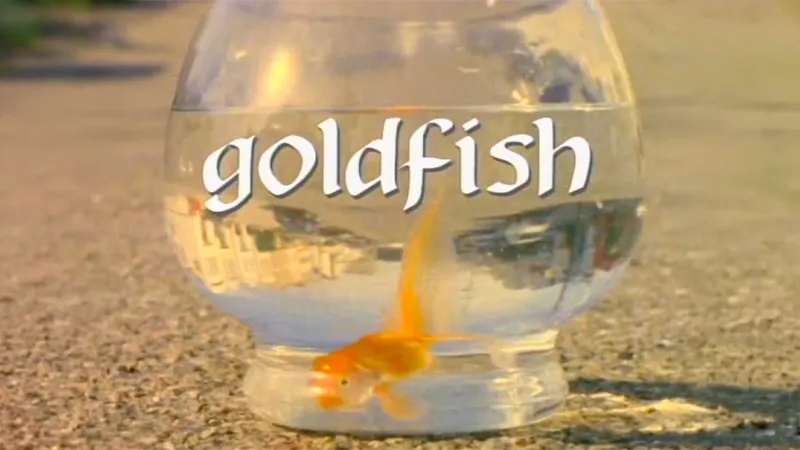 Goldfish skate video by Girl