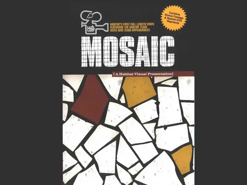 Mosaic skate video by Habitat