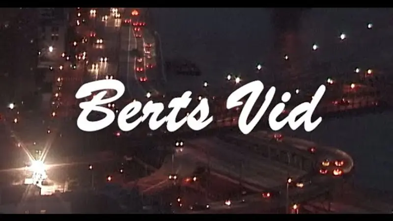 BERTS VID skate video