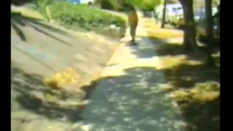 Powell Peralta - The Bones Brigade Video Show skate video by powell peralta