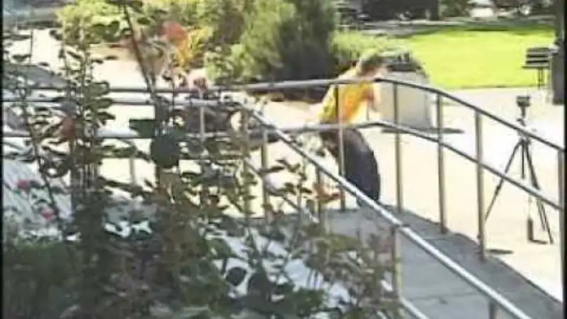 Miscellaneous Tour skate video by Consolidated