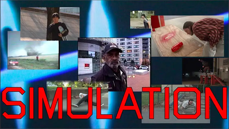 Quasi - SIMULATION skate video by quasi skateboards