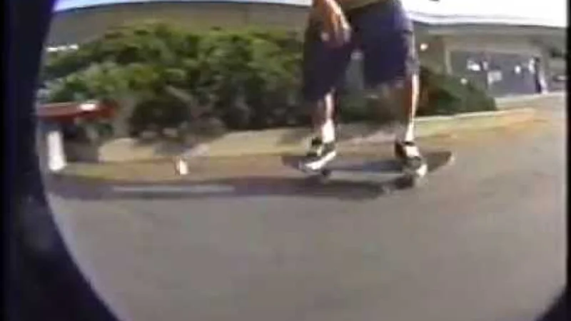 Blind - Tim & Henry's Pack of Lies skate video by blind skateboards