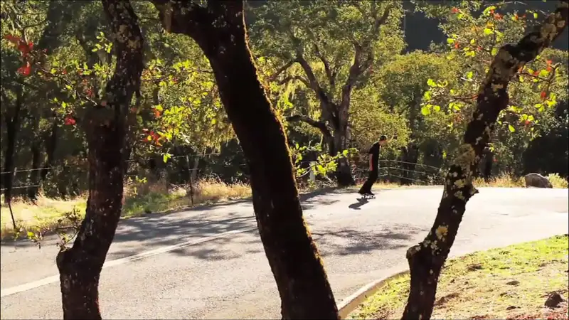 Graduation: Walker Ryan skate video by Organika