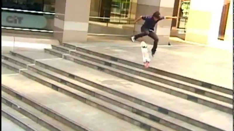 Goosenectar skate video