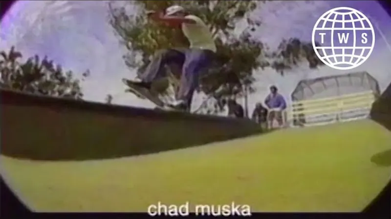 Issue 11 skate video by 411 Video Magazine (2)
