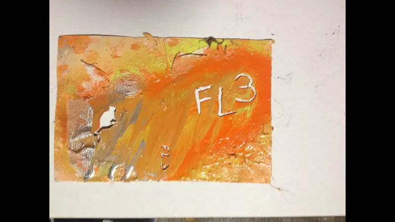 Fancy Lad - FL3 skate video by Fancy Lad Skateboards