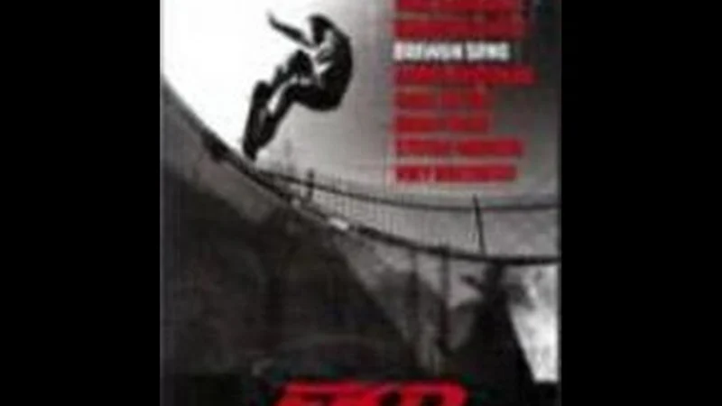 FKD Video skate video by FKD bearings
