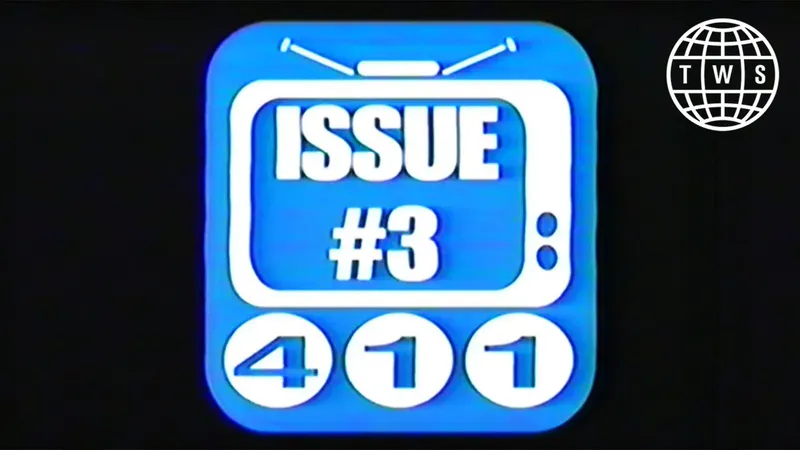 Issue 03 skate video by 411 Video Magazine (2)